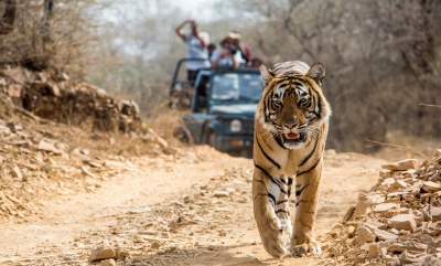 Jim corbett